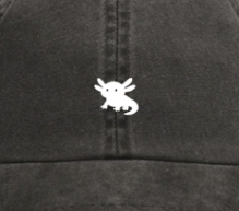 Gorra Infantil