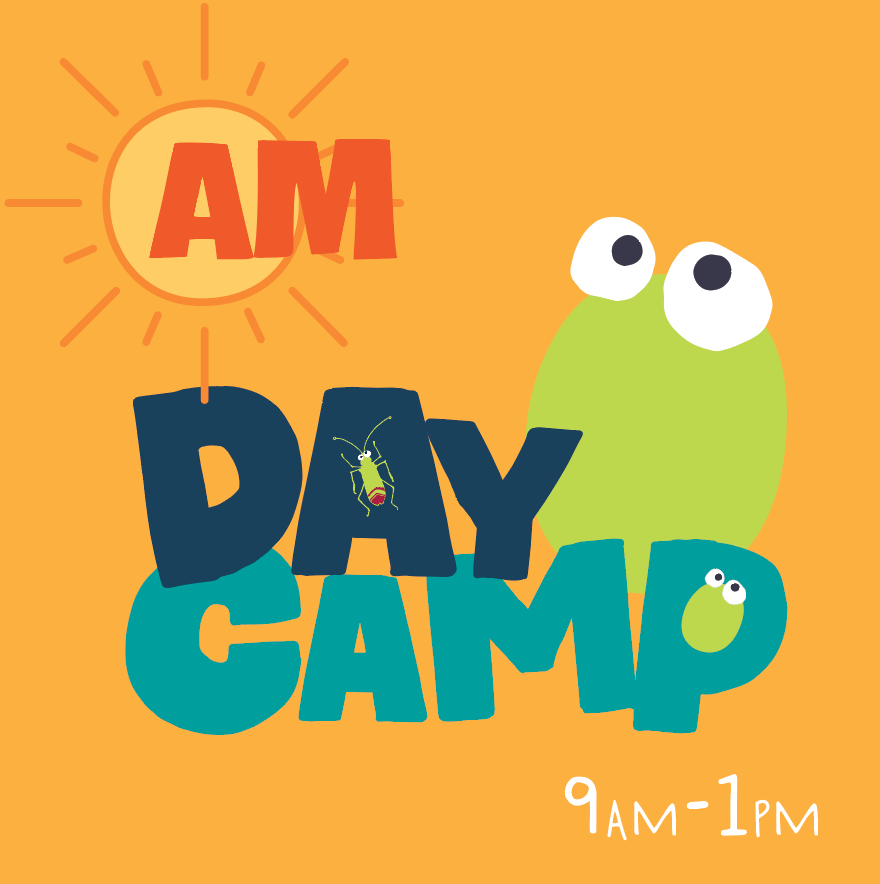 AM DAYCAMP 9-1