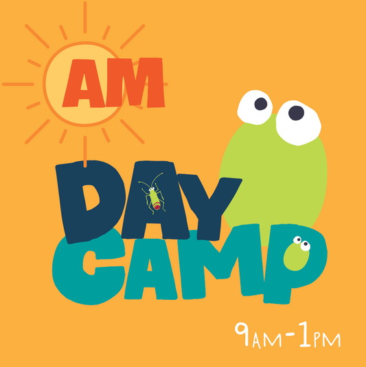 AM DAYCAMP 9-1