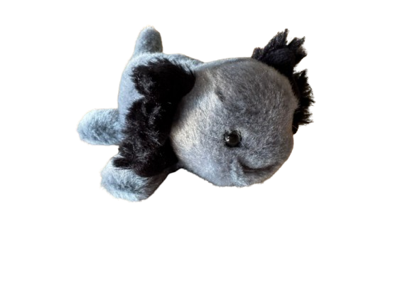 Peluches magnéticos